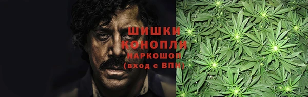 индика Пролетарск