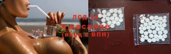 индика Пролетарск