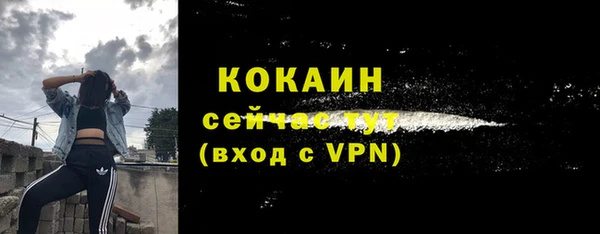прущие крисы Приозерск