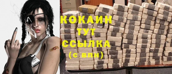 индика Пролетарск