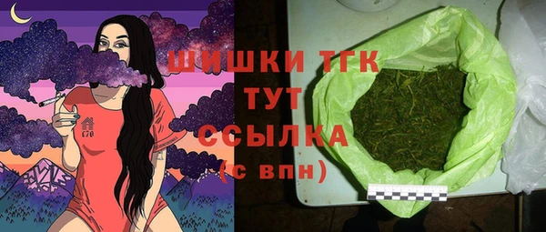 индика Пролетарск