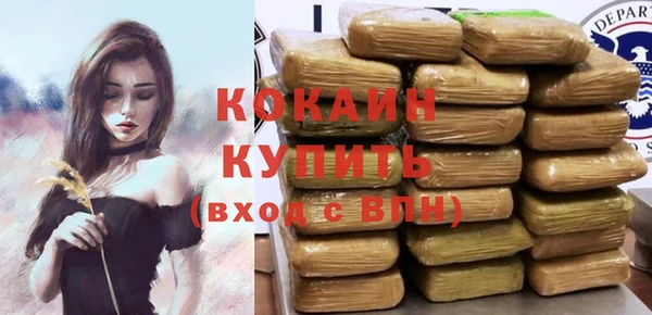 индика Пролетарск