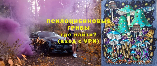прущие крисы Приозерск