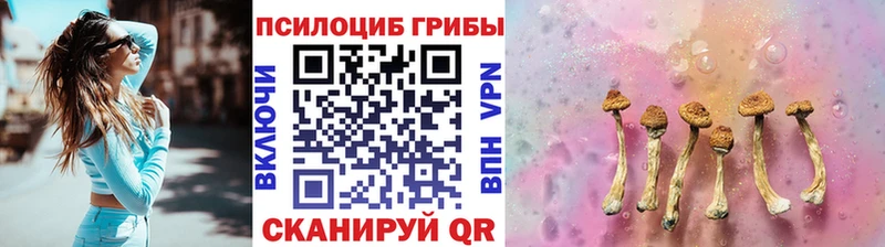 Псилоцибиновые грибы мицелий сколько стоит Сосногорск